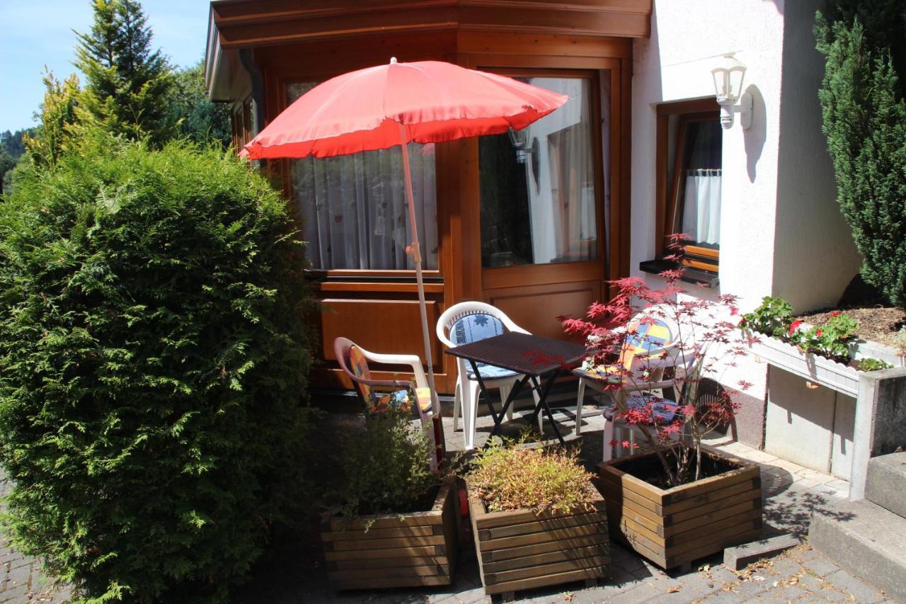 Haus Hirtenbergblick Lonau Extérieur photo
