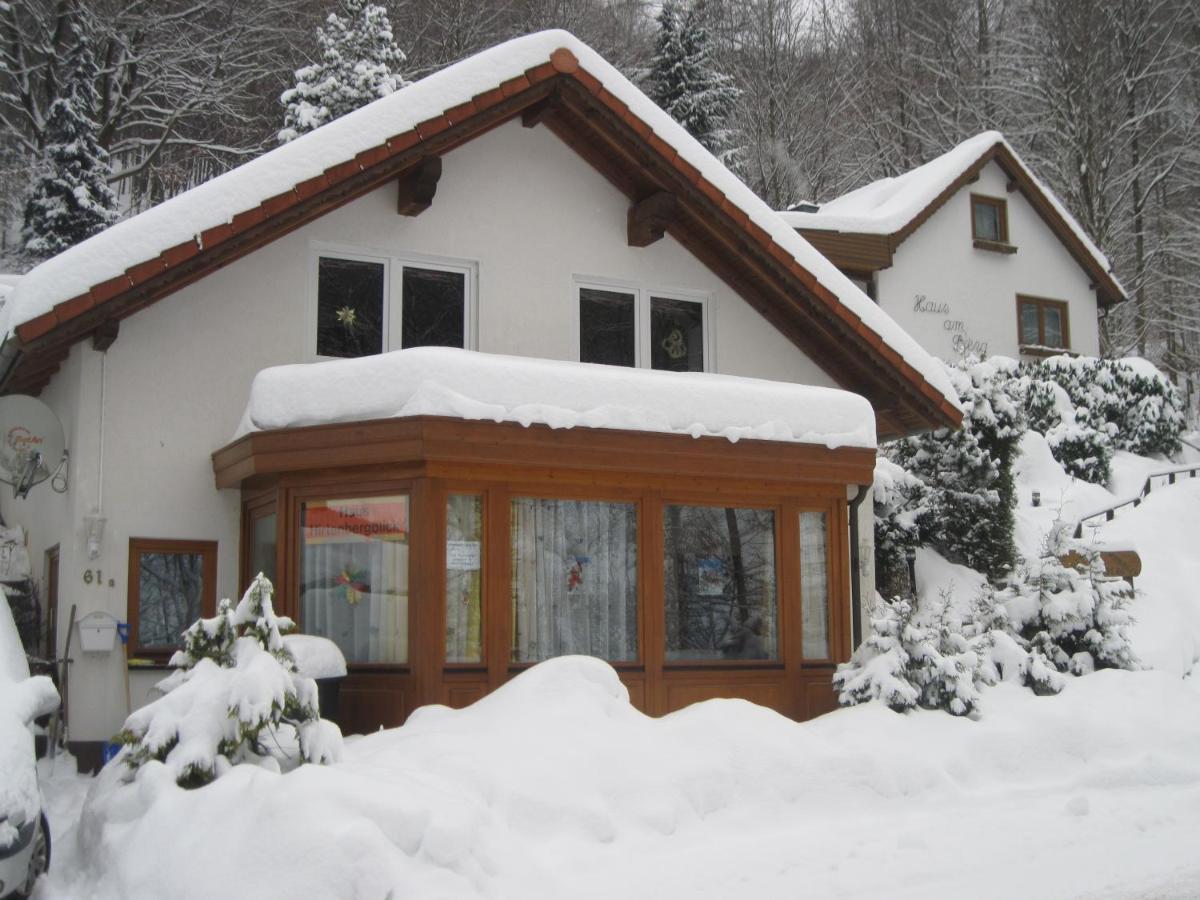 Haus Hirtenbergblick Lonau Extérieur photo