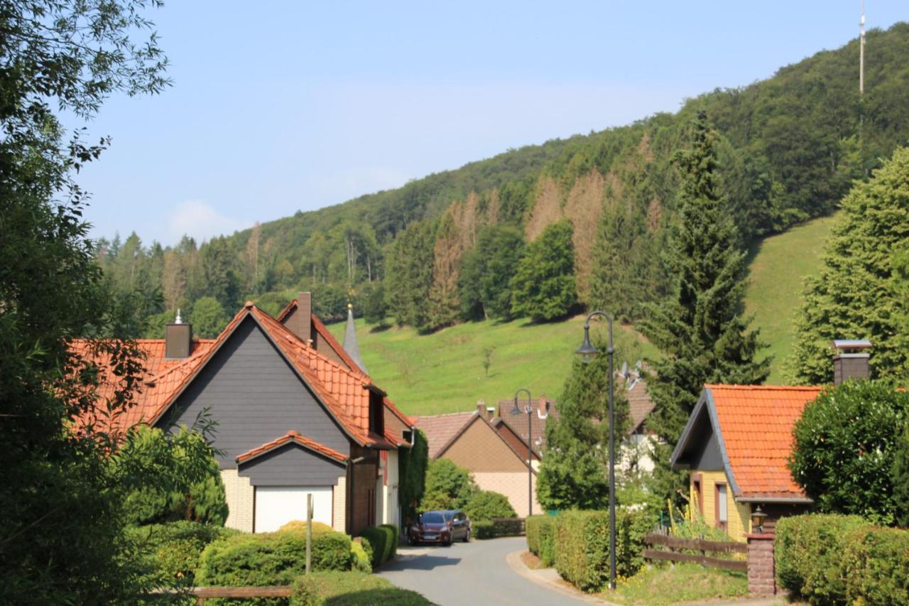 Haus Hirtenbergblick Lonau Extérieur photo