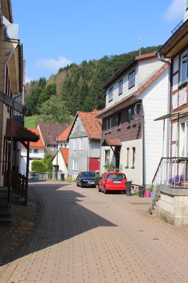 Haus Hirtenbergblick Lonau Extérieur photo