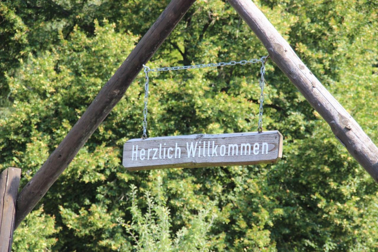 Haus Hirtenbergblick Lonau Extérieur photo