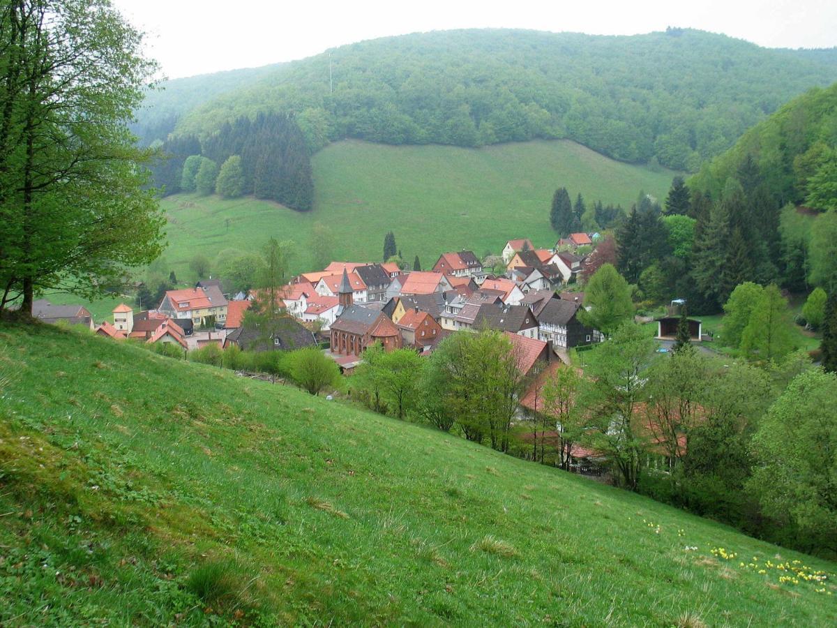 Haus Hirtenbergblick Lonau Extérieur photo